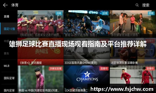 雄狮足球比赛直播现场观看指南及平台推荐详解